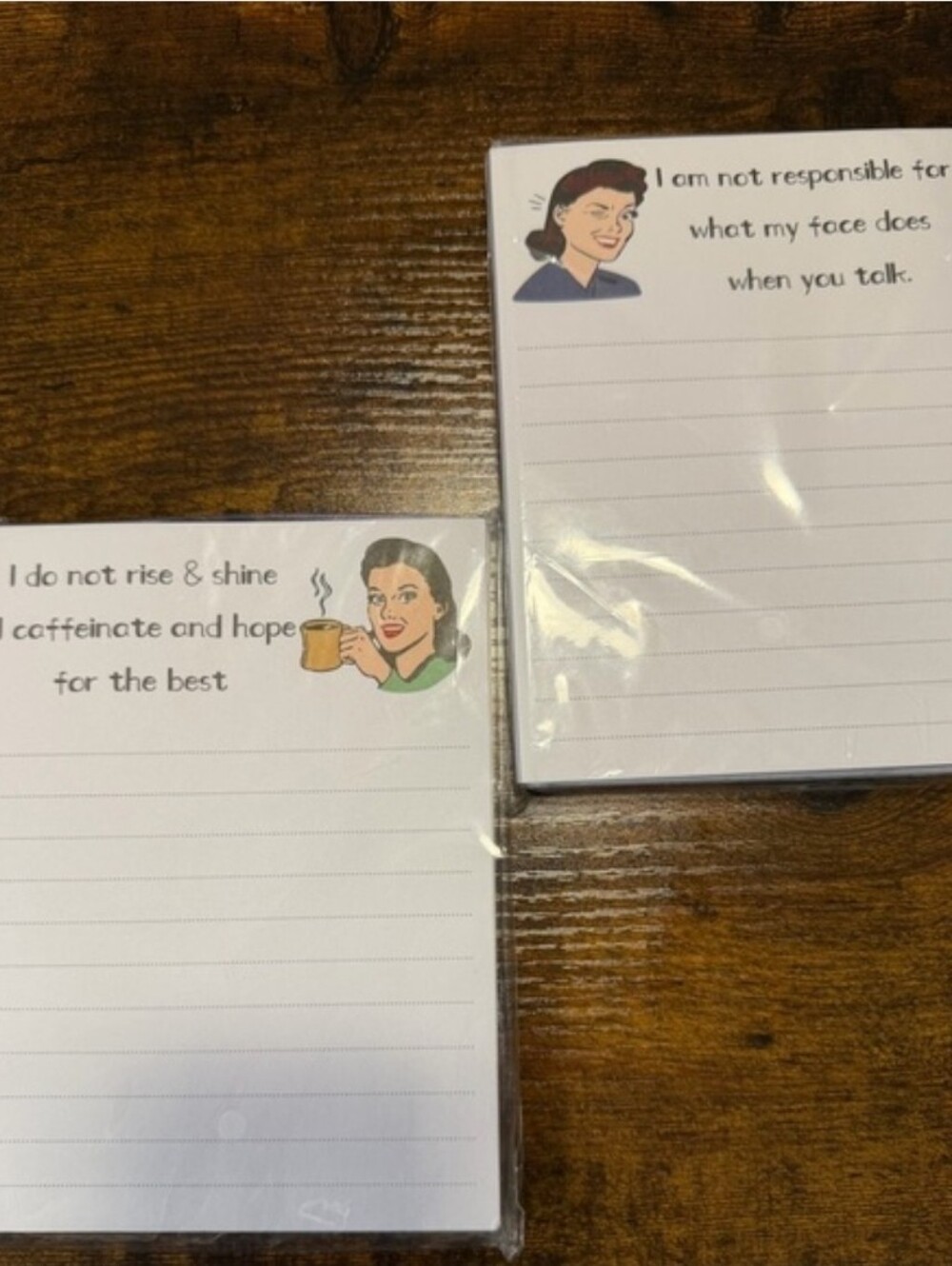 Snarky Notepads. Set of 2